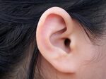 The Ear: Anatomy, Function, and Treatment